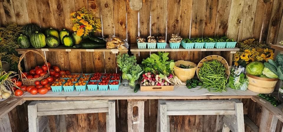 Rustic farm stand with squash, tomatoes, beans, and fresh vegetables