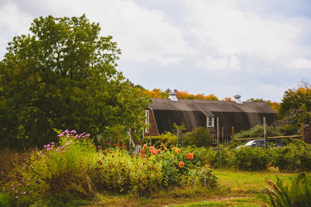Farm barn with autumn flower gardens