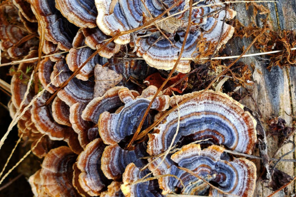 Screenshot 2024-10-10 231635