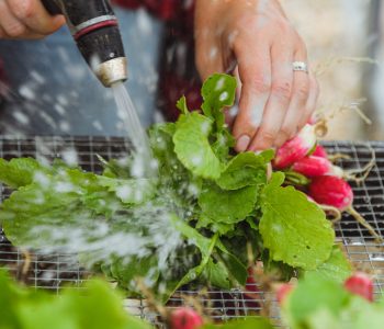 WBC_7221_washing radishes